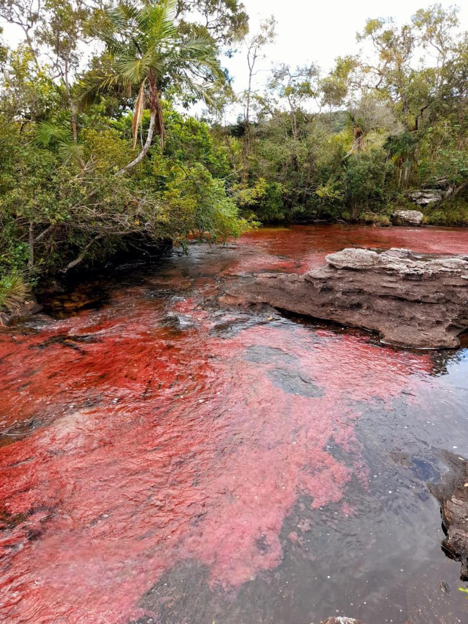 Hotel Ecologico Makalombia La Macarena Eksteriør bilde