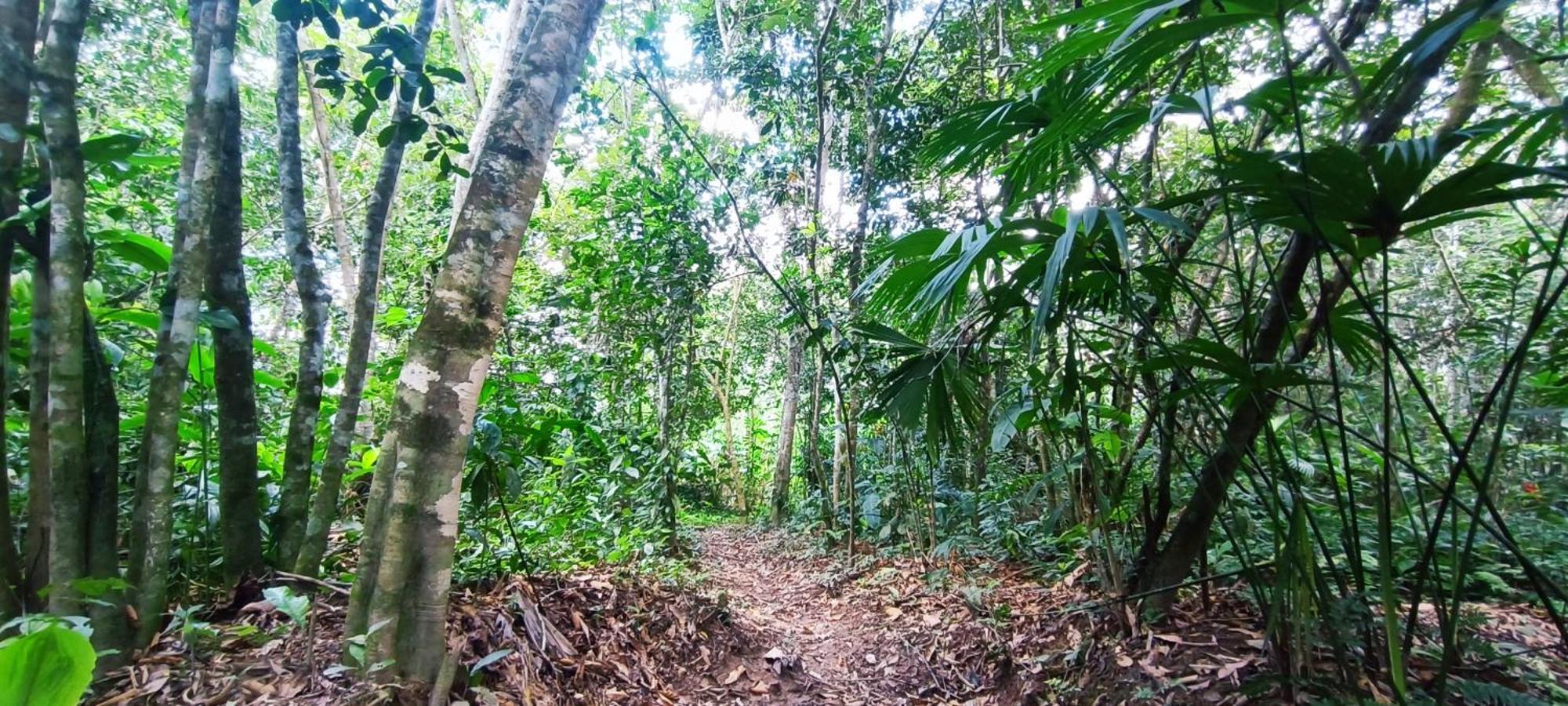 Hotel Ecologico Makalombia La Macarena Eksteriør bilde