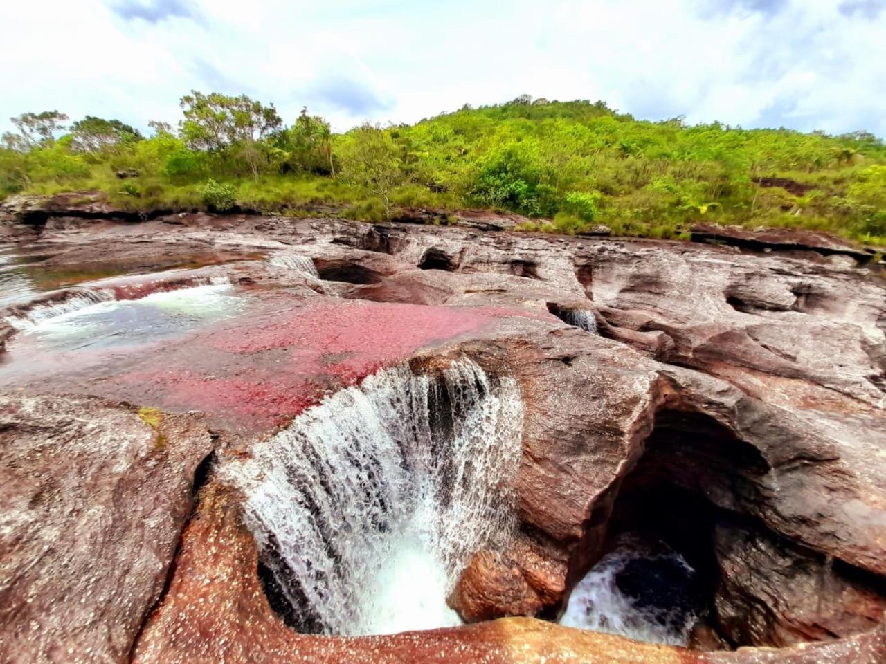 Hotel Ecologico Makalombia La Macarena Eksteriør bilde