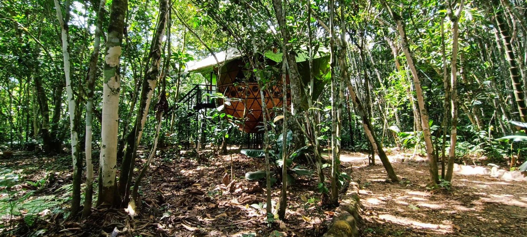 Hotel Ecologico Makalombia La Macarena Eksteriør bilde