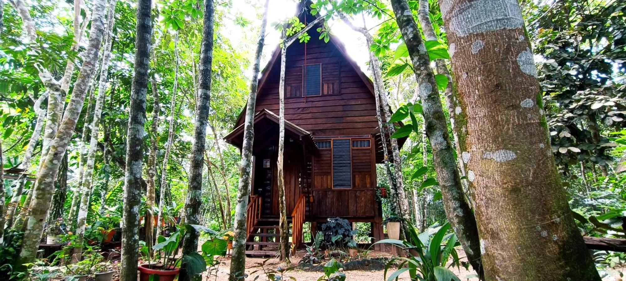 Hotel Ecologico Makalombia La Macarena Eksteriør bilde
